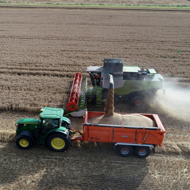 Macchinari agricoli durante la raccolta del grano, anche i macchinari vengono esaminati nella redazione del DVR.